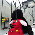 104_1257_jpg-1357332102