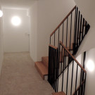 DSCN5117_JPG-1357334273