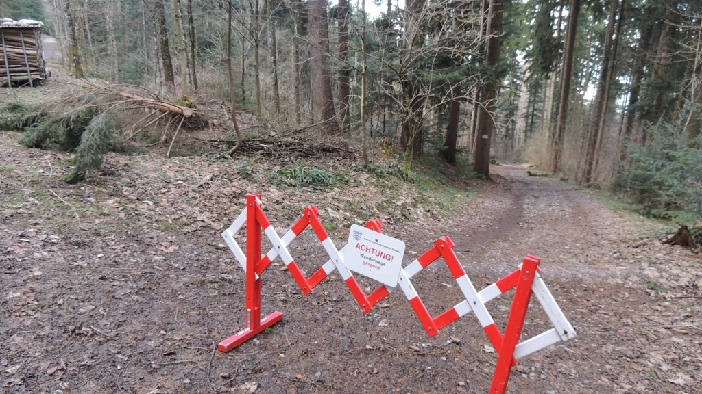 DSCN3036_JPG-1357336939