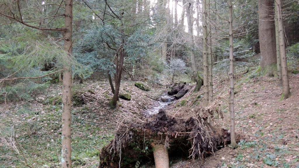 DSCN3042_JPG-1357336942