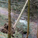 DSCN3046_JPG-1357336946