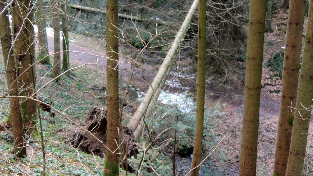 DSCN3046_JPG-1357336946