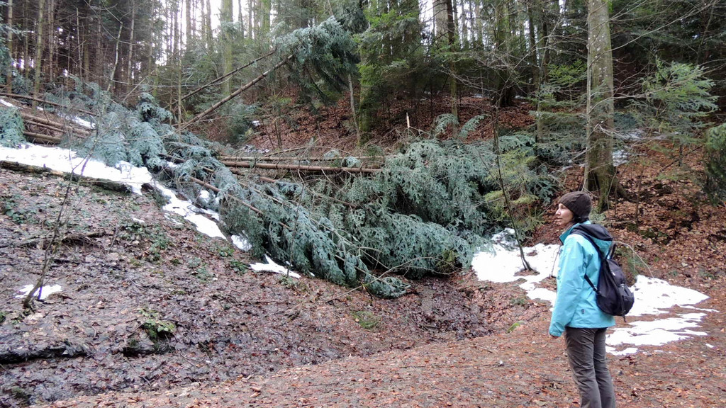 DSCN3067_JPG-1357336966