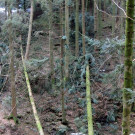 DSCN3048_JPG-1357336950