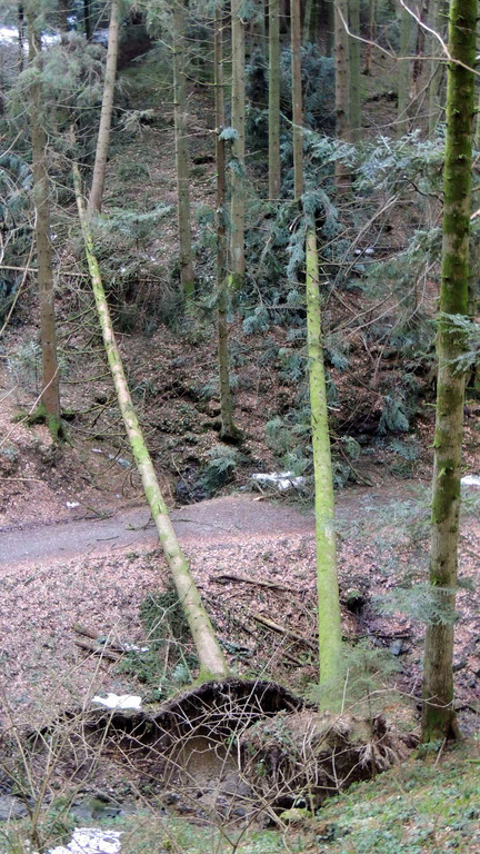 DSCN3048_JPG-1357336950