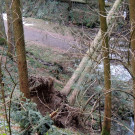 DSCN3050_JPG-1357336953