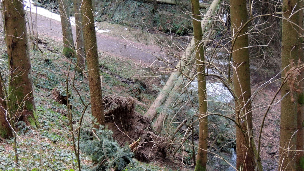 DSCN3050_JPG-1357336953