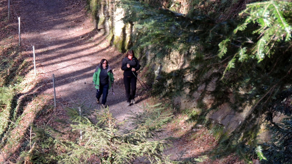 DSCN3091_JPG-1357336974