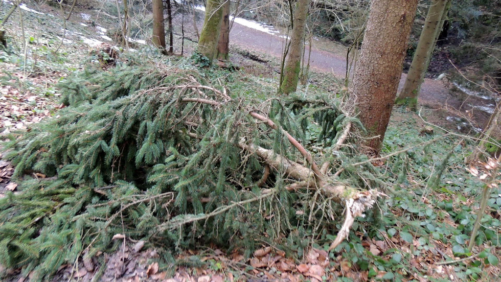 DSCN3054_JPG-1357336957