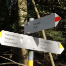 DSCN3093_JPG-1357336978