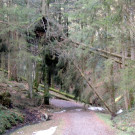 DSCN3059_JPG-1357336961