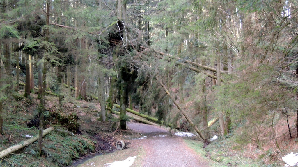 DSCN3059_JPG-1357336961