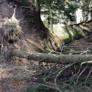 DSCN3096_JPG-1357336983