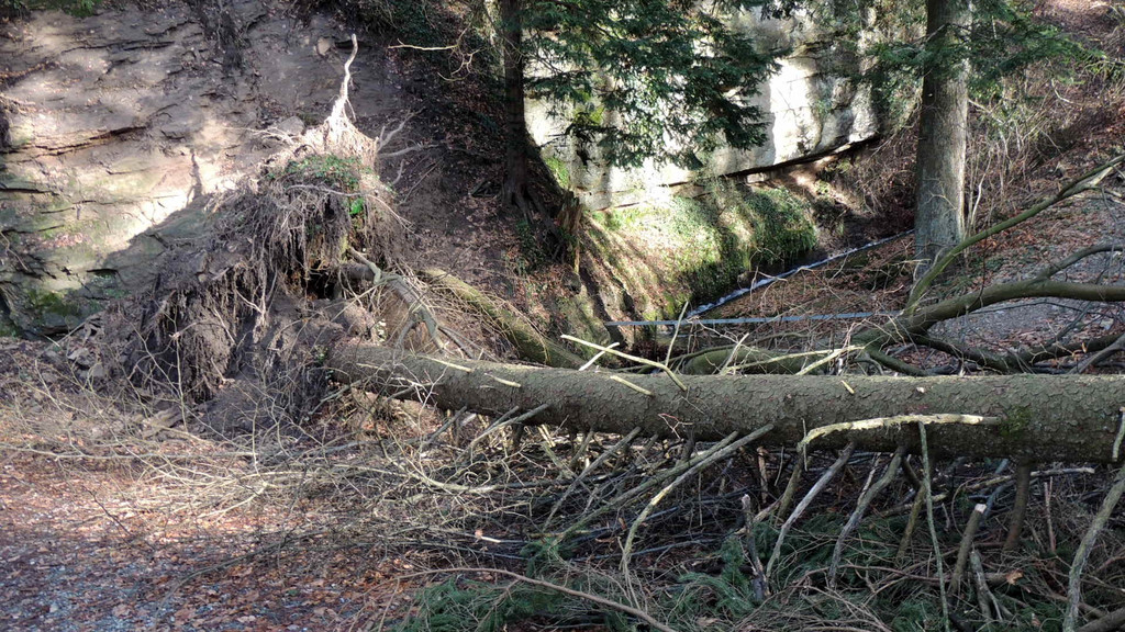 DSCN3096_JPG-1357336983