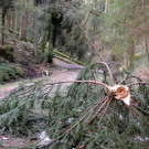 DSCN3060_JPG-1357337088