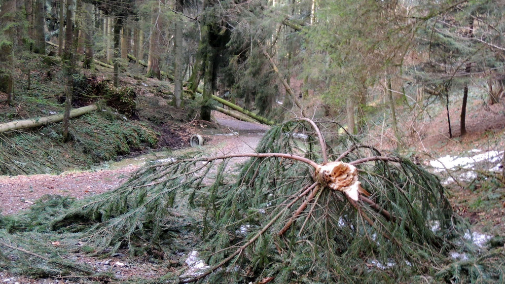 DSCN3060_JPG-1357337088