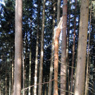 DSCN3078_JPG-1357337091