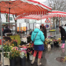 DSCN3327_JPG-1357337244