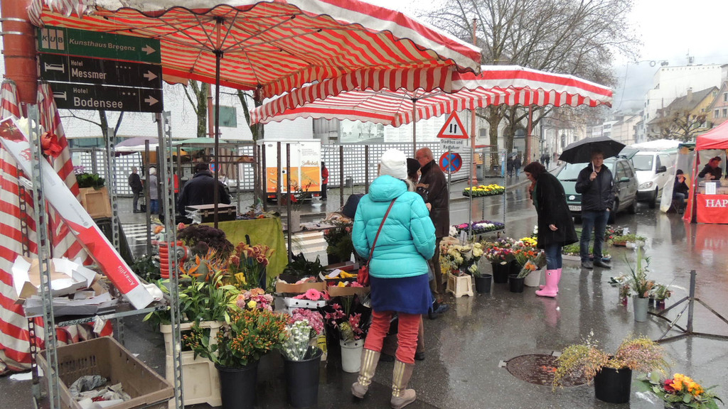 DSCN3327_JPG-1357337244