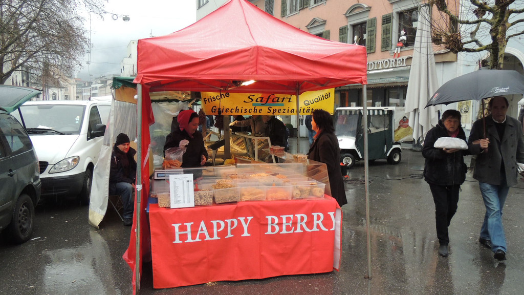 DSCN3329_JPG-1357337252