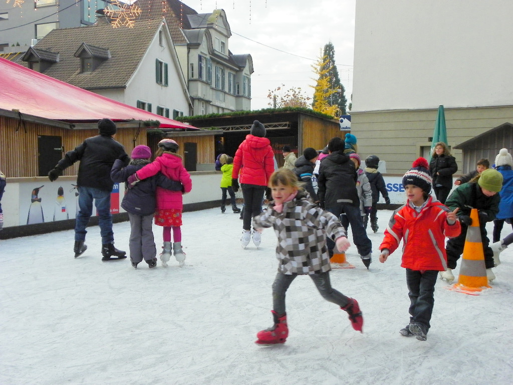 113_2244_JPG-1357337888