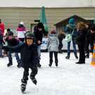 113_2245_JPG-1357337894