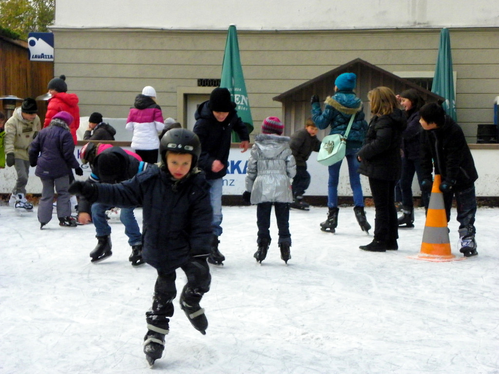 113_2245_JPG-1357337894