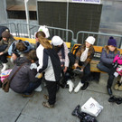 113_2243_JPG-1357337883