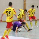 IMG_8003_JPG-1357341186