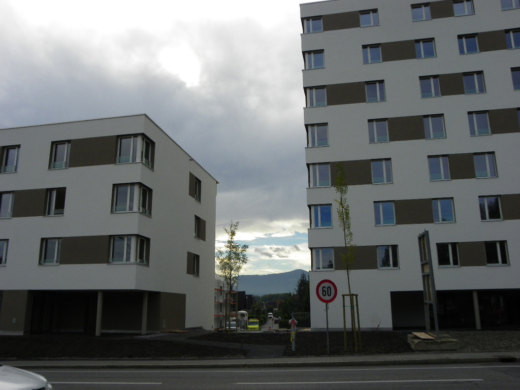 116_2829_JPG-1357341835