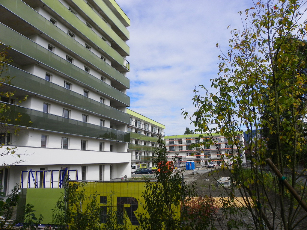 116_2916_JPG-1357341859