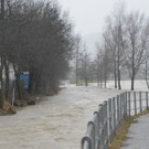 Fischbach tritt über Ufer