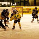 DSC01320_JPG-1357382299
