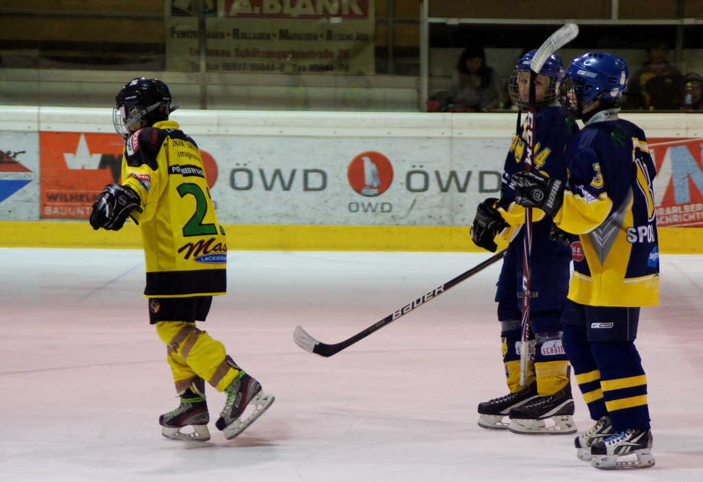 DSC01333_JPG-1357382341