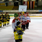 DSC01372_JPG-1357382512