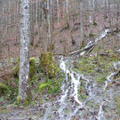 normal_05012013hochwasserat02007aktivnews052.jpg