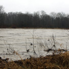 Hochwasser bei Firdolfing