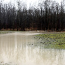 05012013hochwassersalzachde05002aktivnews01 _12_.JPG