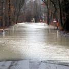 05012013hochwassersalzachde05002aktivnews01 _15_.JPG