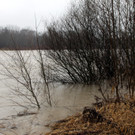 05012013hochwassersalzachde05002aktivnews01 _2_.JPG