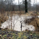 05012013hochwassersalzachde05002aktivnews01 _3_.JPG