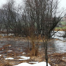 normal_05012013fmt_regenumland_ta_014.JPG