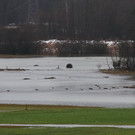 normal_05012013fmt_regenumland_ta_016.JPG