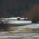 normal_05012013fmt_regenumland_ta_020.JPG