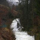 normal_05012013fmt_regenumland_ta_023.JPG