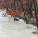 normal_05012013fmt_regenumland_ta_026.JPG