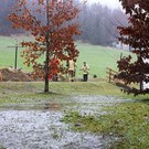 normal_05012013fmt_regenumland_ta_036.JPG