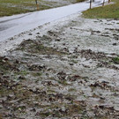 normal_05012013fmt_regenumland_ta_039.JPG