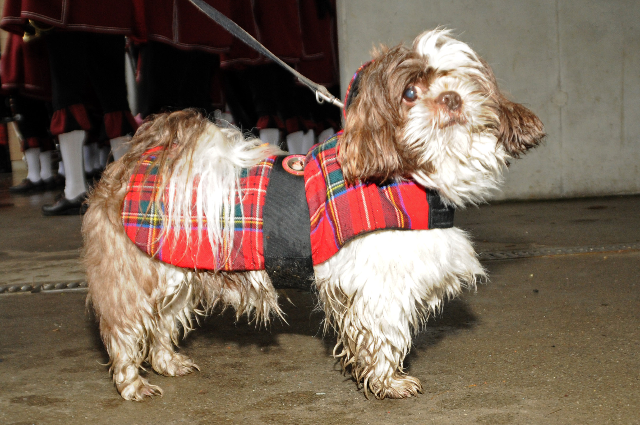 Wagenweihe 05-01-2013 33_jpg-1357401542