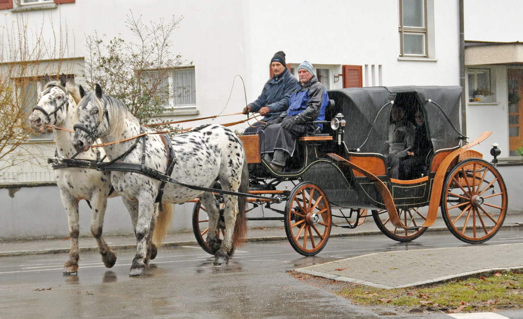 Wagenweihe 05-01-2013 61_jpg-1357401610